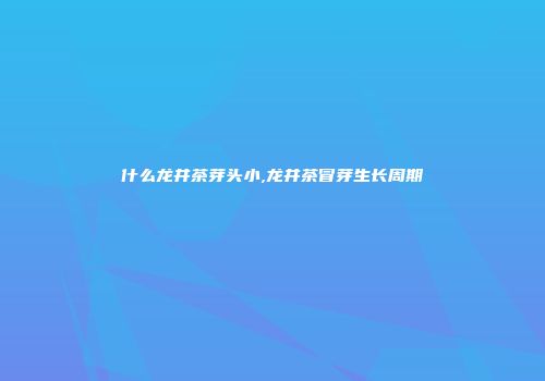 什么龙井茶芽头小,龙井茶冒芽生长周期