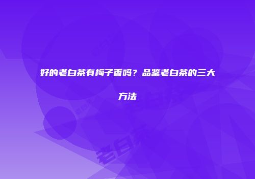 好的老白茶有梅子香吗？品鉴老白茶的三大方法