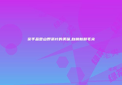 亲手品尝山野茶叶的美味,自摘新鲜毛尖