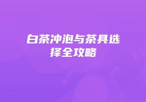 白茶冲泡与茶具选择全攻略