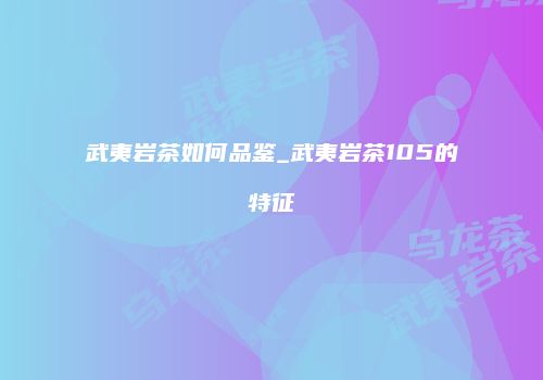 武夷岩茶如何品鉴_武夷岩茶105的特征