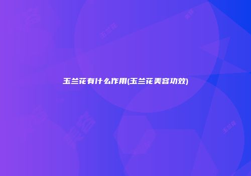 玉兰花有什么作用(玉兰花美容功效)