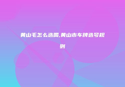 黄山毛怎么选喝,黄山市车牌选号规则