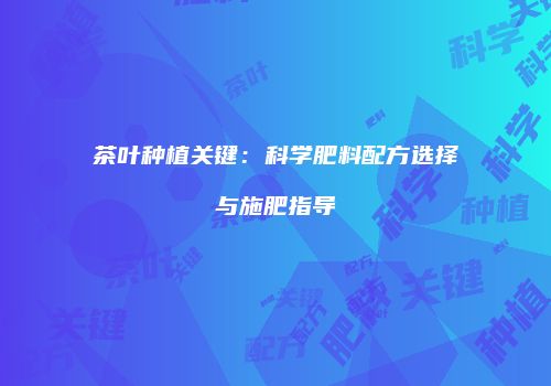 茶叶种植关键：科学肥料配方选择与施肥指导