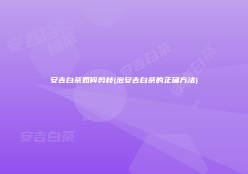安吉白茶如何剪枝(泡安吉白茶的正确方法)