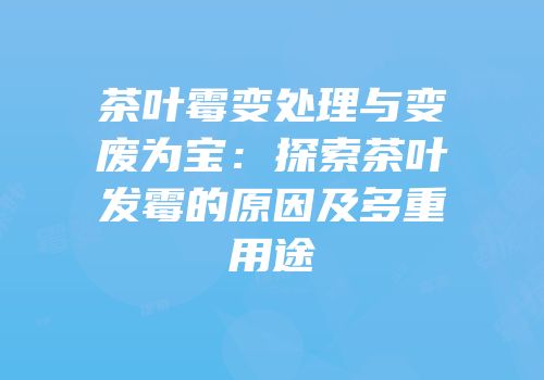 茶叶霉变处理与变废为宝：探索茶叶发霉的原因及多重用途