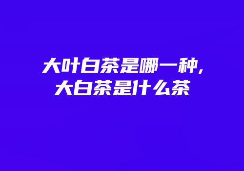 大叶白茶是哪一种,大白茶是什么茶