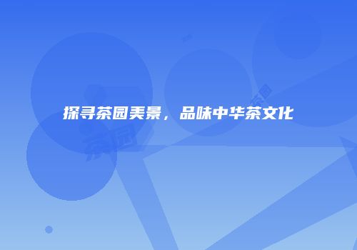 探寻茶园美景，品味中华茶文化