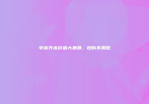 早春乔木价格大暴跌，抢购不用愁