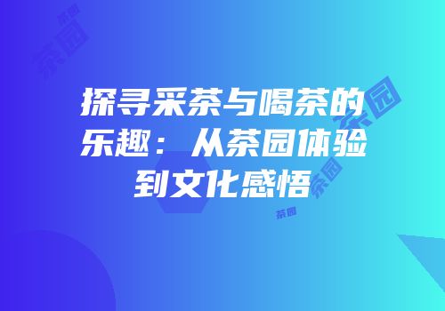 探寻采茶与喝茶的乐趣：从茶园体验到文化感悟