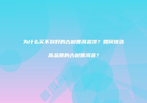 为什么买不到好的古树普洱茶饼？如何挑选高品质的古树普洱茶？