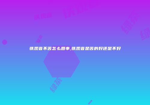 铁观音不苦怎么回事,铁观音是苦的好还是不好