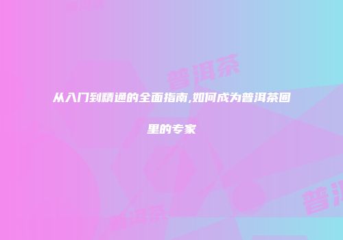 从入门到精通的全面指南,如何成为普洱茶圈里的专家