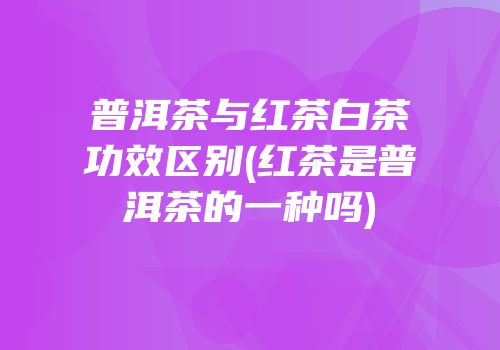 普洱茶与红茶白茶功效区别(红茶是普洱茶的一种吗)