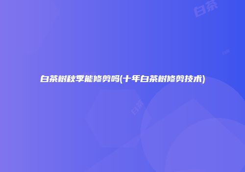 白茶树秋季能修剪吗(十年白茶树修剪技术)