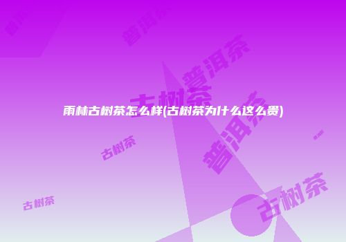 雨林古树茶怎么样(古树茶为什么这么贵)