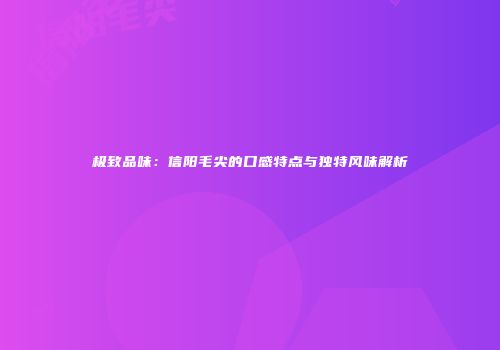 极致品味：信阳毛尖的口感特点与独特风味解析