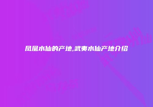 凤凰水仙的产地,武夷水仙产地介绍
