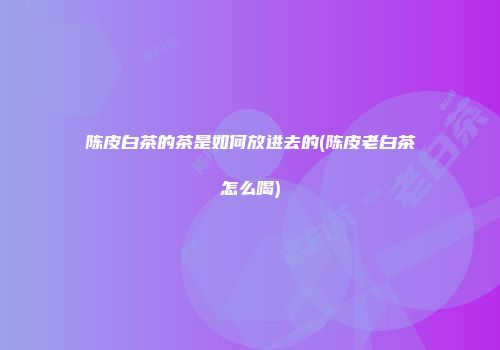 陈皮白茶的茶是如何放进去的(陈皮老白茶怎么喝)