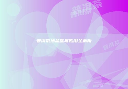 普洱茶汤品鉴与妙用全解析