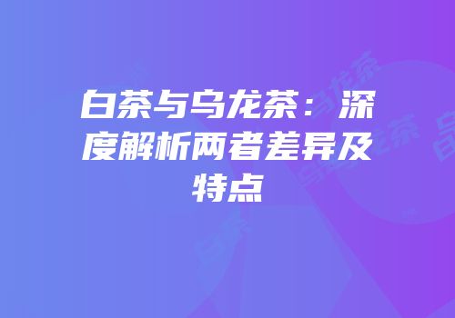 白茶与乌龙茶：深度解析两者差异及特点