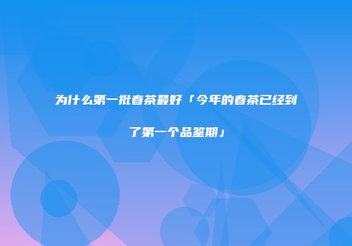 为什么第一批春茶最好「今年的春茶已经到了第一个品鉴期」