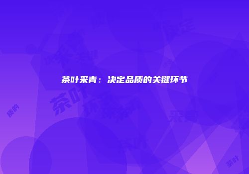 茶叶采青：决定品质的关键环节
