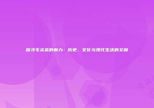 探寻毛尖茶的魅力：历史、文化与现代生活的交融
