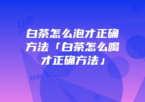 白茶怎么泡才正确方法「白茶怎么喝才正确方法」