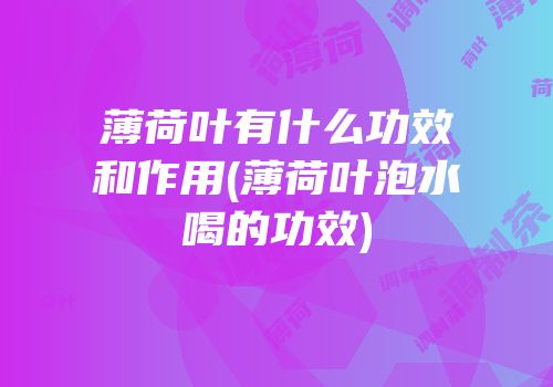 薄荷叶有什么功效和作用(薄荷叶泡水喝的功效)