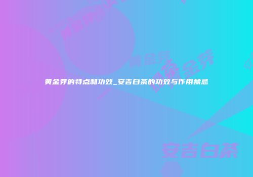 黄金芽的特点和功效_安吉白茶的功效与作用禁忌