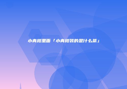 小青柑里面「小青柑装的是什么茶」