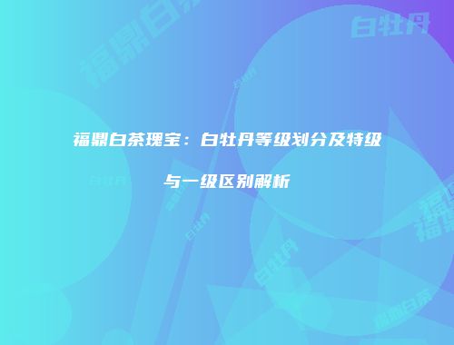 福鼎白茶瑰宝：白牡丹等级划分及特级与一级区别解析