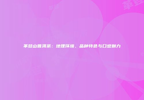 革登山普洱茶：地理环境、品种特色与口感魅力