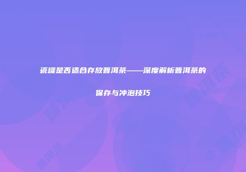 瓷罐是否适合存放普洱茶——深度解析普洱茶的保存与冲泡技巧