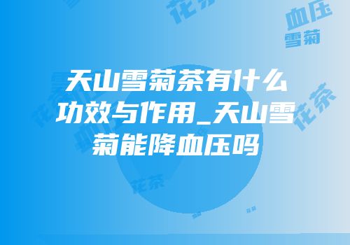 天山雪菊茶有什么功效与作用_天山雪菊能降血压吗