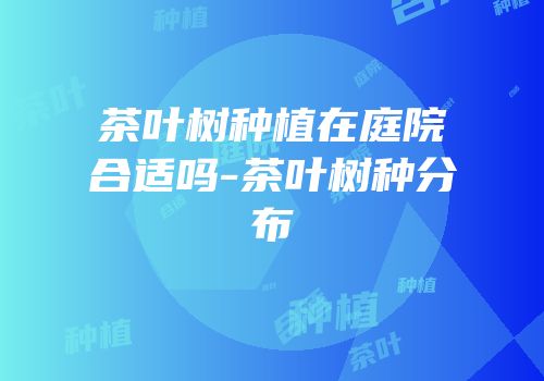 茶叶树种植在庭院合适吗-茶叶树种分布