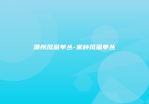 潮州凤凰单丛-宋种凤凰单丛