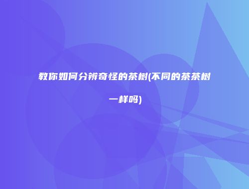教你如何分辨奇怪的茶树(不同的茶茶树一样吗)