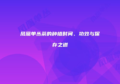 凤凰单丛茶的种植时间、功效与保存之道