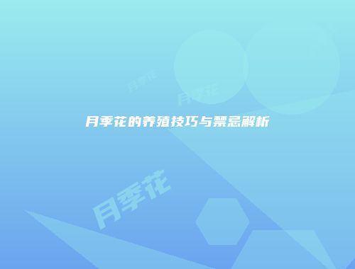 月季花的养殖技巧与禁忌解析