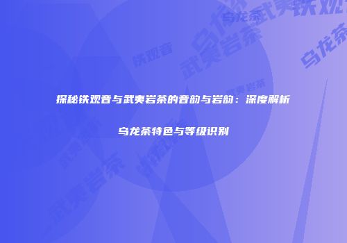 探秘铁观音与武夷岩茶的音韵与岩韵：深度解析乌龙茶特色与等级识别