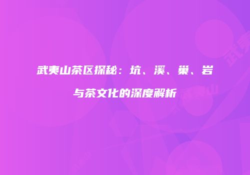 武夷山茶区探秘：坑、溪、巢、岩与茶文化的深度解析