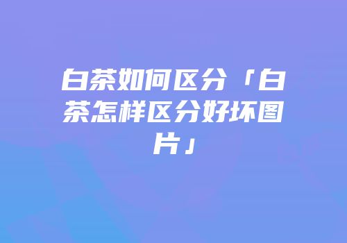 白茶如何区分「白茶怎样区分好坏图片」