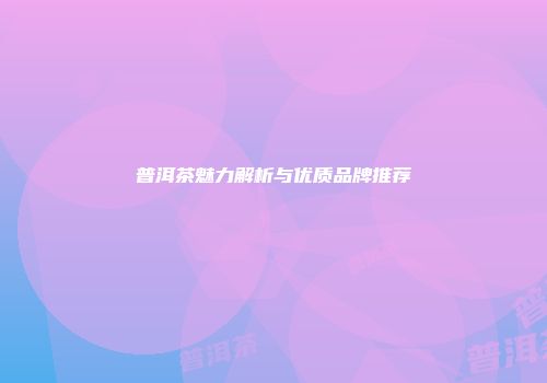 普洱茶魅力解析与优质品牌推荐