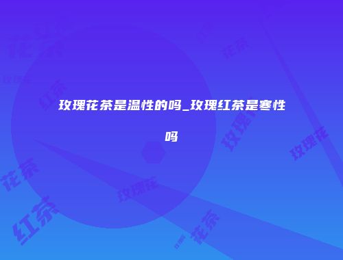 玫瑰花茶是温性的吗_玫瑰红茶是寒性吗