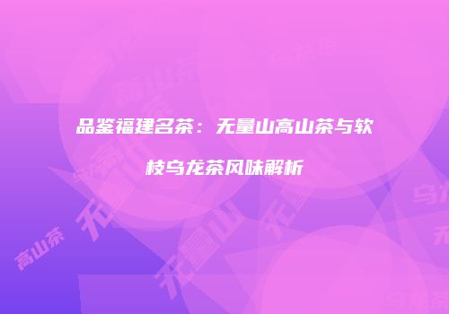 品鉴福建名茶：无量山高山茶与软枝乌龙茶风味解析