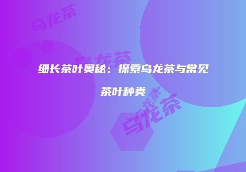 细长茶叶奥秘：探索乌龙茶与常见茶叶种类