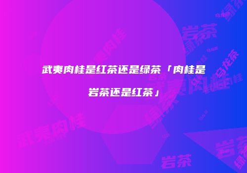 武夷肉桂是红茶还是绿茶「肉桂是岩茶还是红茶」
