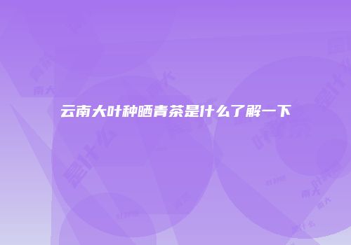 云南大叶种晒青茶是什么了解一下